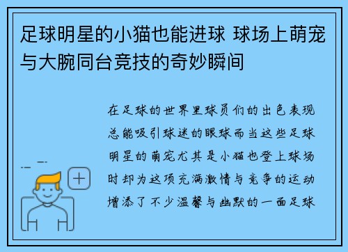 足球明星的小猫也能进球 球场上萌宠与大腕同台竞技的奇妙瞬间