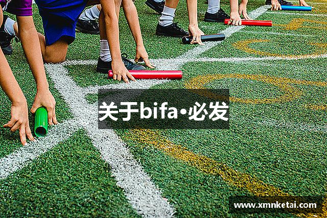 关于bifa·必发